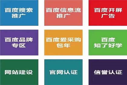 百度竞价排名服务：成功案例解析